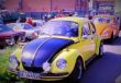 _MG_8950.jpg